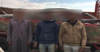 ضبط لصوص وراء سرقة 8 طن كابلات كهرباء بمشروعات دهشور