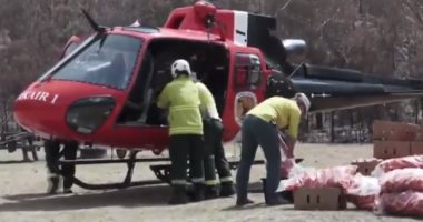 طائرات الانقاذ تلقى أطنان من الأطعمة على حيوانات الغابات فى استراليا.. فيديو
