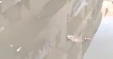 شكوى من غرق شارع عبد العزيز قبالة بمياه الصرف الصحى فى محافظة البحيرة