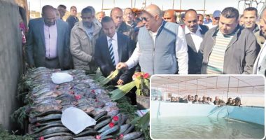 بشاير الخير تهل من الوادى الجديد.. بدء موسم صيد الأسماك.. نجاح مشروعات الاستزراع السمكى الطازج.. ويعمل على توفير فرص عمل إنتاجية للشباب بدعم المحافظة