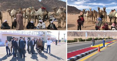 قوافل الهجن تواصل قدومها من كل محافظات مصر لشرم الشيخ.. الهجانة يستعدون لمشاركة قوية بمهرجان شرم الشيخ التراثى برعاية الإمارات.. ومحافظة جنوب سيناء ترفع الطوارئ استعدادا لاستقبال ضيوف المهرجان.. صور