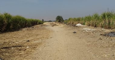 صور.. تشكيل لجنة لمعاينة التعديات بالطريق السياحى بمدخل مدينة الزينية