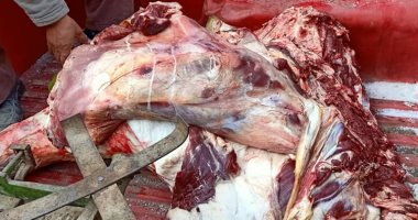 صور.. ضبط نصف طن لحوم غير صالحة للاستخدام الآدمى بأحد الشوادر فى طوخ