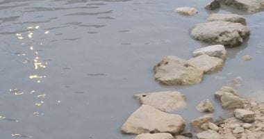شكوى من تجمع مياه الصرف الصحى والأمطار بمنطقة أبو تلات بغرب الإسكندرية