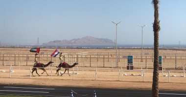 صور وفيديو.. انطلاق عروض الهجانة الإماراتيين فى افتتاح مهرجان شرم الشيخ التراثى