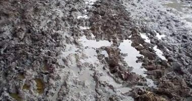 قارئ يطالب برصف مركز الرياض بكفر الشيخ بعد تحولها لـ"بركة طين" بسبب الأمطار