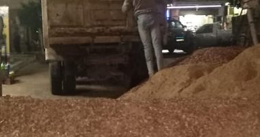 صور .. التصدى لـ 6 عقارات مخالفة والتحفظ على طن أسمنت وسط الإسكندرية