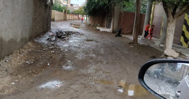 شكوى من عدم رصف الطريق الرئيسى بقرية شرمساح مركز الزرقا فى دمياط