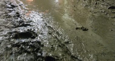 غرق قرية خباطة بالغربية فى مياه الصرف الصحى