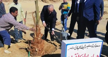 صور.. وزيرة التضامن والسفير الإيطالى يزرعان أشجار نخيل بالوادى الجديد