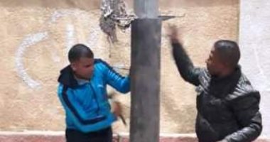 صور.. مراكز شباب بالشرقية يغلفون أعمدة الإنارة لحمايتها من الأمطار