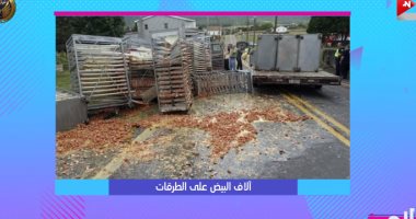 شاهد.. هيدى كرم: شارع بأمريكا يتحول إلى طبق أومليت بعد سقوط 163 ألف بيضة