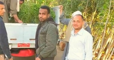 قارئ يشارك بصور مبادرة شبابية لتنظيف الشوراع بقرية "أبو تشت" بقنا