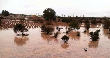صور.. أمطار الخير تروى الزراعات بالوديان وتملأ خزانات سدود وآبار مطروح