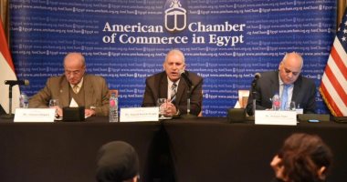 رئيس مصلحة الجمارك: القانون الجديد يهدف لسرعة إنهاء الإجراءات