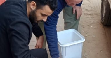 صور.. ضبط أغذية منتهية الصلاحية بالعريش وإعدامها