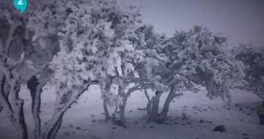 مرتفعات الشراة فى الأردن تتحول إلى جزء من أوروبا بسبب تساقط الثلوج.. فيديو