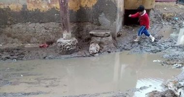 شكوى من غرق قرية الروينة بمياه الأمطار فى محافظة كفر الشيخ