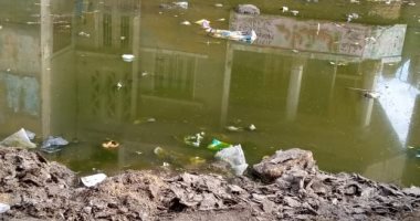 "سيبها علينا".. تجمعات كثيفة لمياه الصرف الصحى بقرية سحيم بالغربية