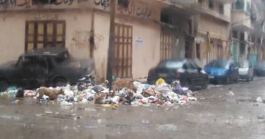 "سيبها علينا".. شكوى أهالى دمياط من انتشار الكلاب الضالة بالشوارع.. صور 