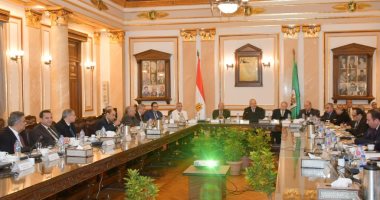 جامعة القاهرة: امتحانات لقياس الكفاءة اللغوية لطلاب الدراسات العليا 