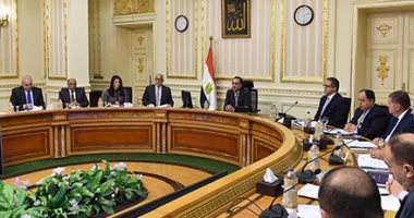 الحكومة: 17 شركة جادة تقدمت بطلبات للاستثمار.. ومدبولى يُكلف بسرعة دراستها 