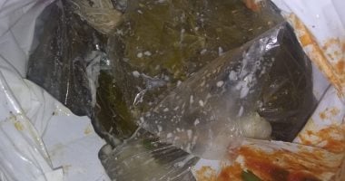 "صحة الشرقية": إعدام أكثر من نصف طن أغذية فاسدة وغلق منشأة غذائية