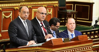 على عبد العال: "أخشى إن البرلمان يطلع هو اللى غلطان فى الآخر مش الحكومة"