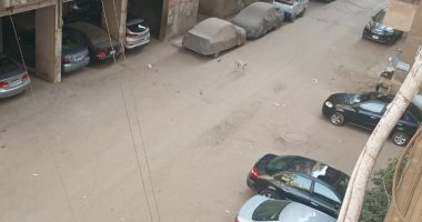 شكوى من انتشار الكلاب الضالة بمنطقة بنها الجديدة بمحافظة القليوبية