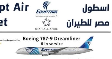 انفوجراف.. تعرف عن الأسطول الجوى للناقل الوطنى المصرى