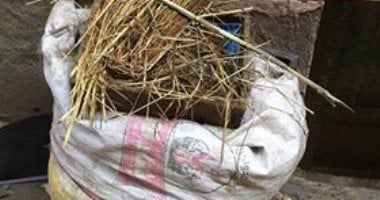 شكوى من وقف رفع القمامة بقرية فزارة فى البحيرة