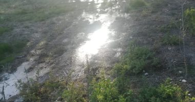 "سيبها علينا".. تجمعات كثيفة لمياه جوفية بمنطقة نجع دغش ببرج العرب بالإسكندرية