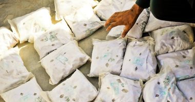 المكسيك تحتجز طائرة تحمل مخدرات بـ12 مليون دولار