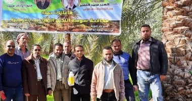 صور .. انطلاق حملة مكافحة سوسة النخيل بسيوة واستهداف 24 ألف نخله