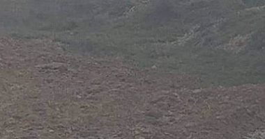 أهالى قرية فزارة بالبحيرة يطالبون بصيانة ملعب مركز الشباب.. صور