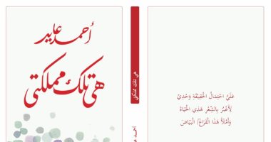 "هى تلك مملكتى" ديوان جديد لـ أحمد عايد فى معرض الكتاب