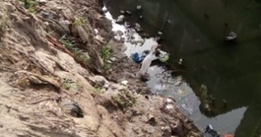 قارئ يطالب بتطهير ترعة قرية البلاكوس بمحافظة البحيرة