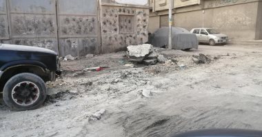 إعادة رصف شارع بطرس وحسن رضوان.. مناشدة سكان طنطا في الغربية