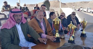 ننشر نتائج سباق نويبع للهجن بجنوب سيناء