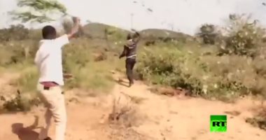 غزو الجراد.. أسراب بالملايين تهاجم زراعات شرق أفريقيا "فيديو" 