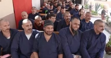 فيديو.. الإخوان المفرج عنهم: "كنا مغيبين ولعبوا بعقولنا وتعلمنا الدرس"