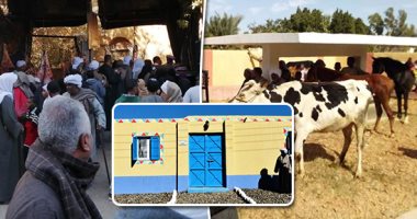 التضامن: تخصيص 106 ملايين جنيه للمرحلة الأولى لمبادرة حياة كريمة فى قنا