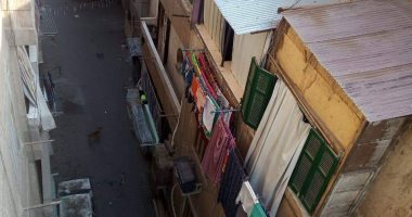 شكوى من انتشار الكلاب الضالة فى حارة عمر الركن الحنفى بالسيدة زينب