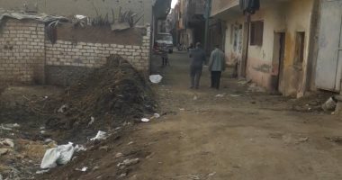 أهالى أفنيش بالدقهلية يشكون عدم صرف الطرق وإضاءة أعمدة الإنارة بالقرية 