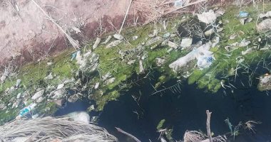 قارئ يطالب بتغطية مصرف بقرية الغابة بمركز أبوحمص فى البحيرة