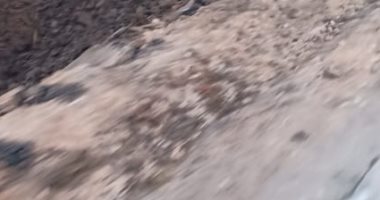قارئ يشكو تهالك الطريق قرية ذات الكوم ويطالب برصفه 