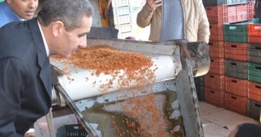 محافظ الغربية يزور قريتى القرشية وشنراق مركز إنتاج العنب والزبيب بالسنطة