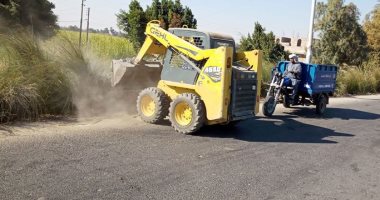 صور.. حملات نظافة وتجميل بالطريق السريع ومداخل القرى فى مدينتى إسنا والطود