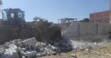 صور.. إزالة 251 حالة تعدى على أراضى أملاك الدولة بالموجة الـ 15 بالمحافظات
