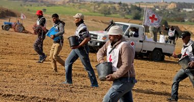 صور.. الفلسطينيون يزرعون أرض غزة بمساعدة من الصليب الأحمر 